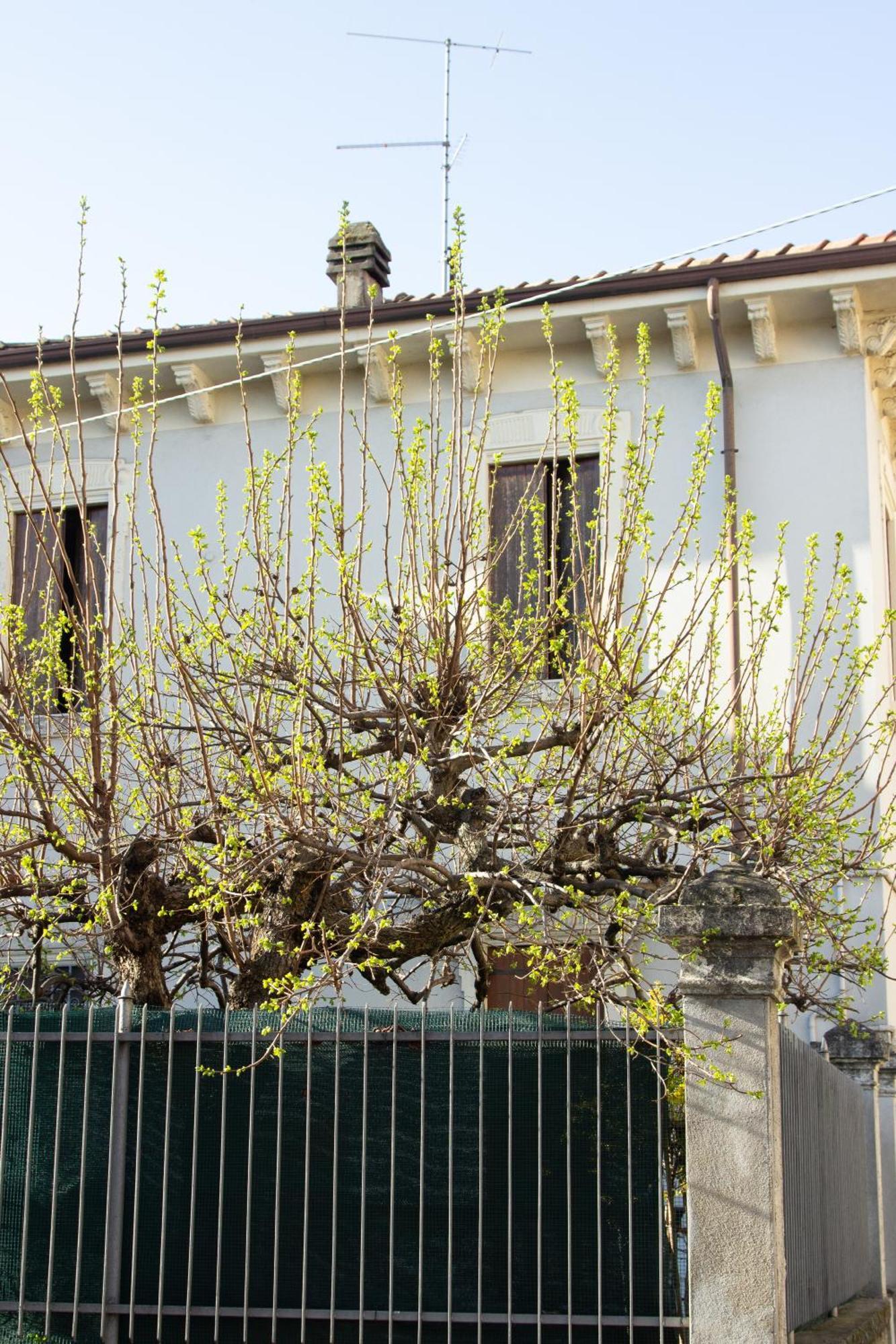 Verona Nest 外观 照片
